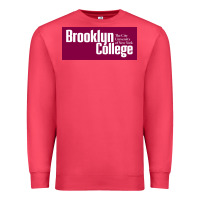 Cardinal Brooklyn College Premium Sweatshirt - linhVisuals
