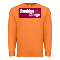 Carrot Brooklyn College Premium Sweatshirt - linhVisuals