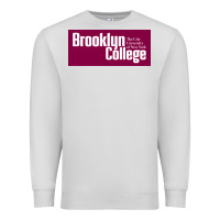 Dove Grey Brooklyn College Premium Sweatshirt - linhVisuals