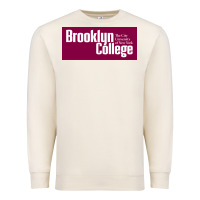 Sandshell Brooklyn College Premium Sweatshirt - linhVisuals