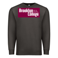 Smoke Brooklyn College Premium Sweatshirt - linhVisuals