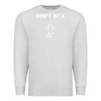 Dove Grey don't be a jerk funny math   scholar teacher nerd physics premium Premium Sweatshirt - linhVisuals