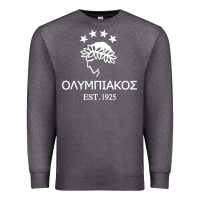 Charcoal Heather olympiakos greek Premium Sweatshirt - linhVisuals