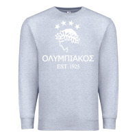 Heather Grey olympiakos greek Premium Sweatshirt - linhVisuals