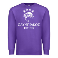 Purple olympiakos greek Premium Sweatshirt - linhVisuals