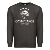 Smoke olympiakos greek Premium Sweatshirt - linhVisuals