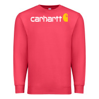 Cardinal carhartt Premium Sweatshirt - linhVisuals