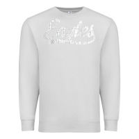 Dove Grey eagles school sports fan team spirit mascot gift Premium Sweatshirt - linhVisuals
