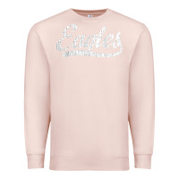 Pale Pink eagles school sports fan team spirit mascot gift Premium Sweatshirt - linhVisuals