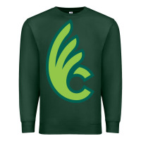Sports Green wilmington college quaqers Premium Sweatshirt - linhVisuals