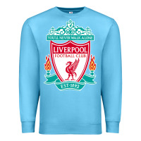 Ocean Blue the-liverpool-pen Premium Sweatshirt - linhVisuals