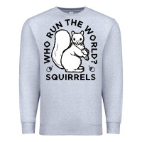 Heather Grey who run the world squirrels Premium Sweatshirt - linhVisuals