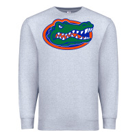Heather Grey go florida gators football Premium Sweatshirt - linhVisuals