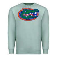 Seafoam go florida gators football Premium Sweatshirt - linhVisuals