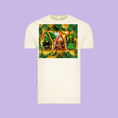 St. Patrick's Day Gnome Vintage Tee Designed By Fadigitalartstudio