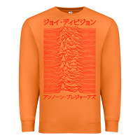 Carrot JOY DIVISION - UNKNOWN PLEASURES - JAPANESE Premium Sweatshirt - linhVisuals