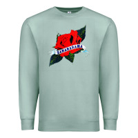 Seafoam best of grup music  bananarama Premium Sweatshirt - linhVisuals