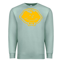 Seafoam lemonhead vintage Premium Sweatshirt - linhVisuals
