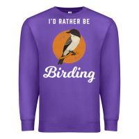 Birding Birdwatching Eastern Phoebe Premium Sweatshirt | Teevron
