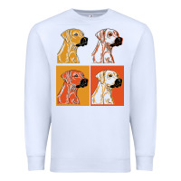 Rhodesian Ridgeback T  Shirt Rhodesian Ridgeback Dog Gift Idea T  Shir Premium Sweatshirt | Teevron
