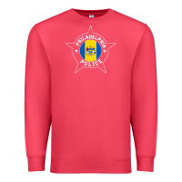 Cardinal philadelphia police t shirt   ppd Premium Sweatshirt - linhVisuals