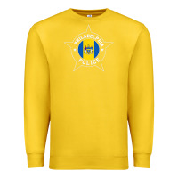 Philadelphia Police T Shirt   Ppd Premium Sweatshirt | Teevron