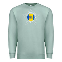 Seafoam philadelphia police t shirt   ppd Premium Sweatshirt - linhVisuals