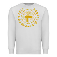 Dove Grey northern virginia community college Premium Sweatshirt - linhVisuals