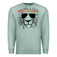Seafoam clay calloway sketch Premium Sweatshirt - linhVisuals