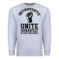 Heather Grey introverts unite Premium Sweatshirt - linhVisuals