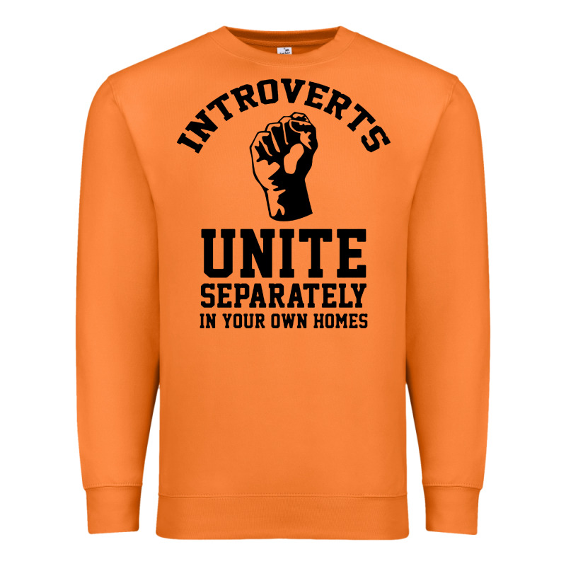 Introverts Unite Premium Sweatshirt by linhVisuals | Teevron