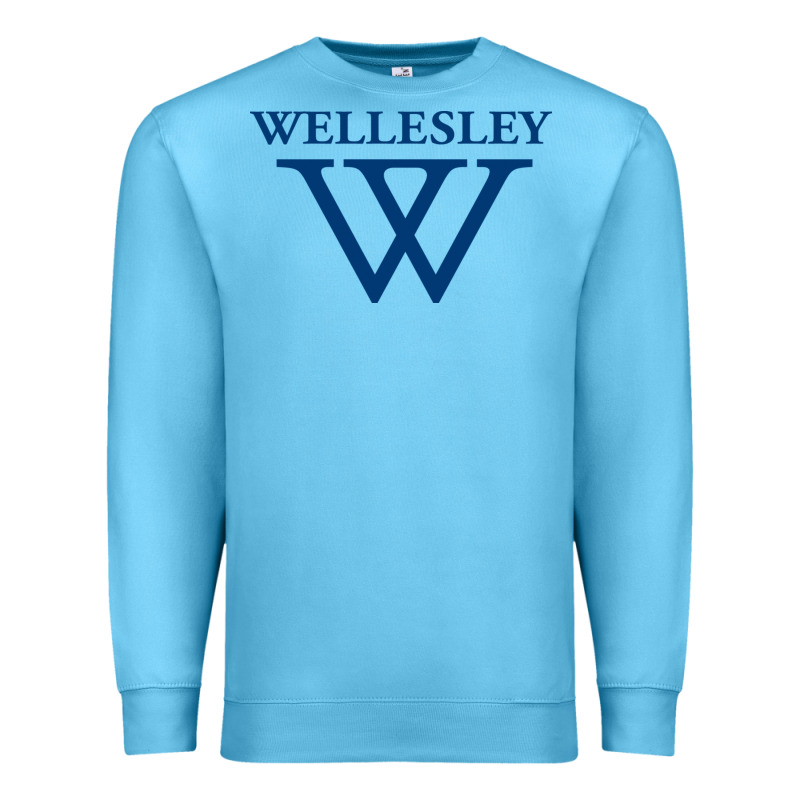 Wellesley College Premium Sweatshirt by linhVisuals | Teevron