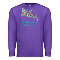 San Juan Islands Upward Orca Killer Whale Native American Raglan Baseb Premium Sweatshirt | Teevron