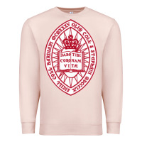 Pale Pink bard college Premium Sweatshirt - linhVisuals