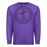 Purple dickinson college Premium Sweatshirt - linhVisuals