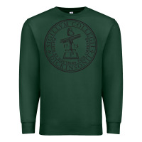 Sports Green dickinson college Premium Sweatshirt - linhVisuals