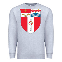 Heather Grey Rensselaer Polytechnic Institute Premium Sweatshirt - linhVisuals