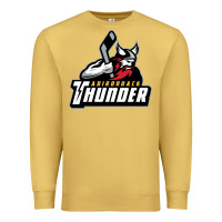 The-adirondack-thunder-pen Premium Sweatshirt | Teevron