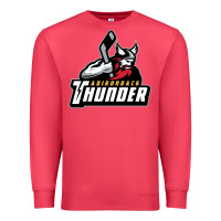 Cardinal the-adirondack-thunder-pen Premium Sweatshirt - linhVisuals