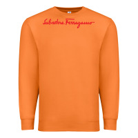 Carrot SALVATORE TSHIRT Premium Sweatshirt - linhVisuals
