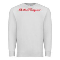 Dove Grey SALVATORE TSHIRT Premium Sweatshirt - linhVisuals