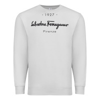 Dove Grey SALVATORE TSHIRT Premium Sweatshirt - linhVisuals