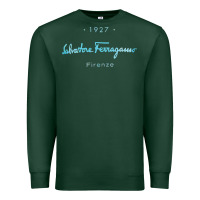 Sports Green SALVATORE TSHIRT Premium Sweatshirt - linhVisuals