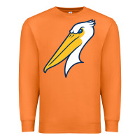Carrot myrtle beach pelicans Premium Sweatshirt - linhVisuals