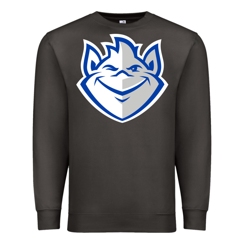 The Billikens Premium Sweatshirt by linhVisuals | Teevron