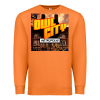 Carrot Owl City Adam Young Premium Sweatshirt - linhVisuals