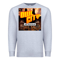 Heather Grey Owl City Adam Young Premium Sweatshirt - linhVisuals