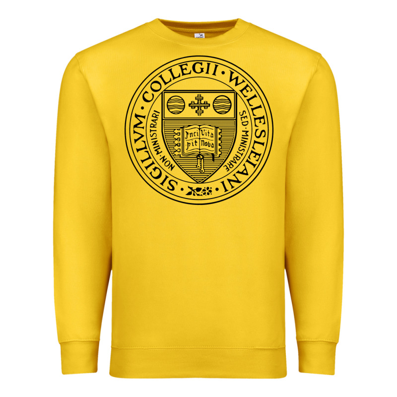 Wellesley College Premium Sweatshirt by linhVisuals | Teevron