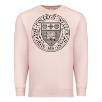 Pale Pink Wellesley College Premium Sweatshirt - linhVisuals