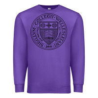 Purple Wellesley College Premium Sweatshirt - linhVisuals